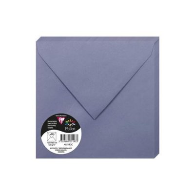POLLEN  Enveloppe 120g 165x165 myosotis pqt 20