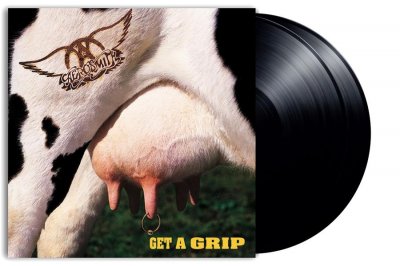 POLYDOR  Get a grip Double Vinyle Gatefold Inclus coupon MP3 - 4795439