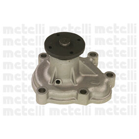 METELLIGROUP Pompe &agrave; eau METELLI 24-0664