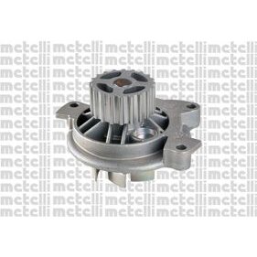 METELLI Pompe &agrave; eau  24-0758