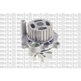 METELLI Pompe &Agrave; Eau  24-0947
