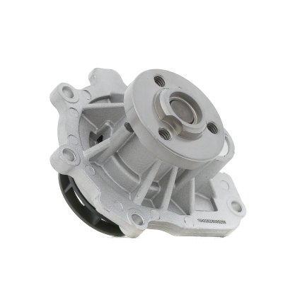 RIDEX Pompe a  eau  1260W0079 (X1)