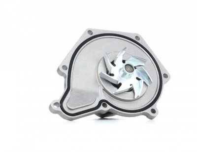 SKF Pompe a  eau  VKPC 81310 (X1)