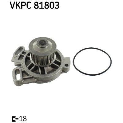 SKF Pompe a  eau  VKPC 81803 (X1)