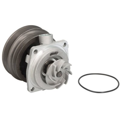 SKF Pompe a  eau  VKPC 82441 (X1)