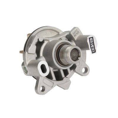 SKF Pompe a  eau  VKPC 86305 (X1)