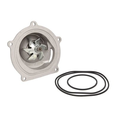 SKF Pompe a  eau  VKPC 87813 (X1)