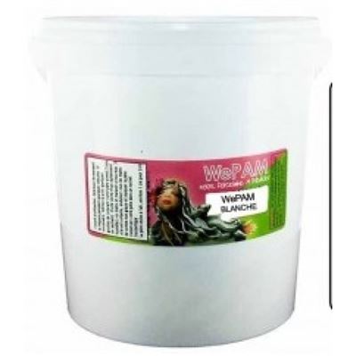 WEPAM Porcelaine froide &agrave;&nbsp; modeler  500 g blanc - 