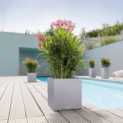 LECHUZA Pot Canto Stone Cube Gris pierre 30 x 30 x 30 cm - 