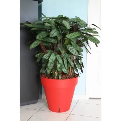 RIVIERA Pot de fleurs Loft avec r&eacute;serve d'eau - Rond - &Oslash; 50 x H 46 cm - Rouge