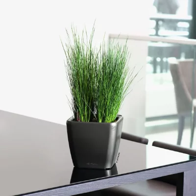 LECHUZA Pot quadro ls premium Anthracite kit complet &oslash; 21 / 20 cm - 