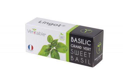 VERITABLE Potager d'int&eacute;rieur  LINGOT BASILIC
