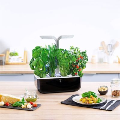  Potager d'int&eacute;rieur V&eacute;ritable&reg; SMART - Soft Black