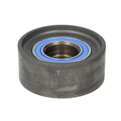 SKF Poulie renvoi/transmission, courroie de distribution  VKM 21259