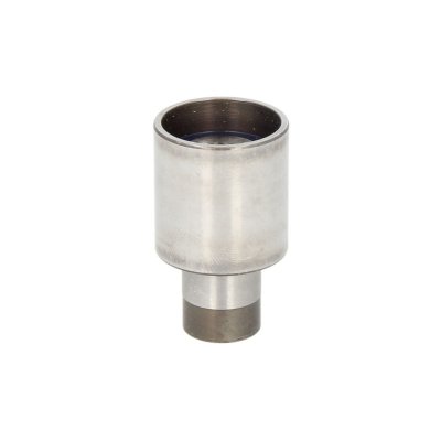 SKF Poulie renvoi/transmission courroie de distribution VKM 21131 