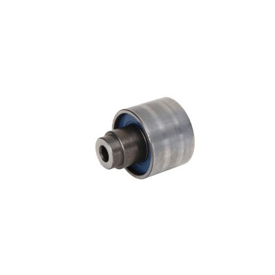 SKF Poulie renvoi/transmission courroie de distribution VKM 21148 