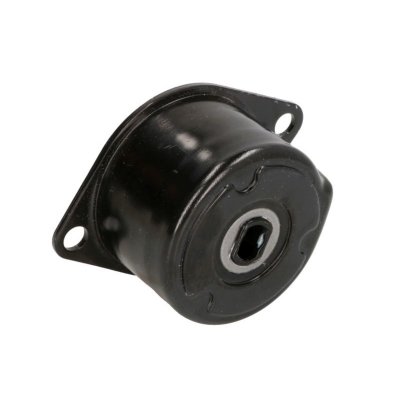 SKF Poulie-tendeur, courroie trap&eacute;zo&iuml;dale &agrave; nervures  VKM 31005