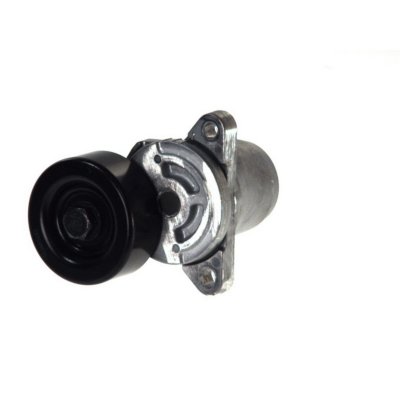 SKF Poulie-tendeur, courroie trap&eacute;zo&iuml;dale &agrave; nervures  VKM 65027