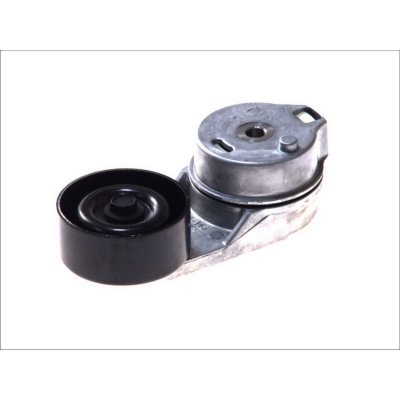 SKF Poulie-tendeur courroie trap&eacute;zo&iuml;dale &agrave; nervures VKM 31066 