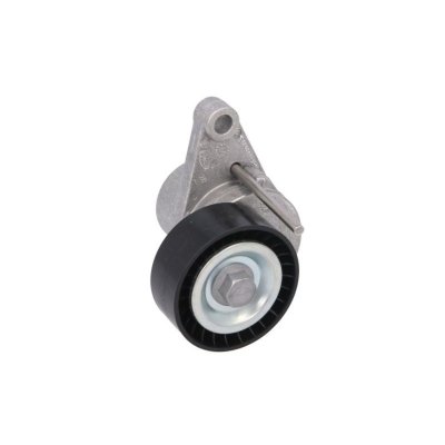 SKF Poulie-tendeur courroie trap&eacute;zo&iuml;dale &agrave; nervures VKM 33074 