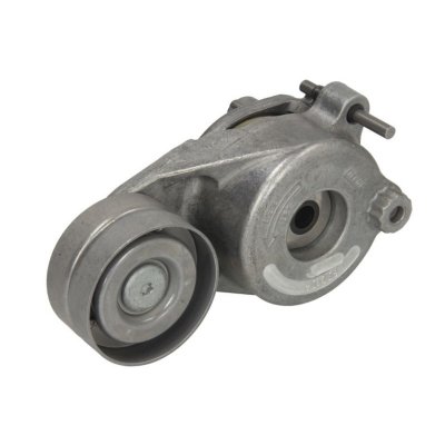 SKF Poulie-tendeur courroie trap&eacute;zo&iuml;dale &agrave; nervures VKM 38075 
