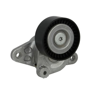 SKF Poulie-tendeur courroie trap&eacute;zo&iuml;dale &agrave; nervures VKM 38089 