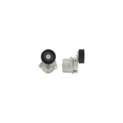SKF Poulie-tendeur courroie trap&eacute;zo&iuml;dale &agrave; nervures VKM 38221 