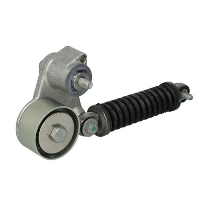 SKF Poulie-tendeur courroie trap&eacute;zo&iuml;dale &agrave; nervures VKM 66020 