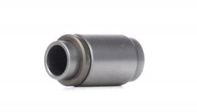 INA Poussoir de soupape  420 0003 10 (X1)