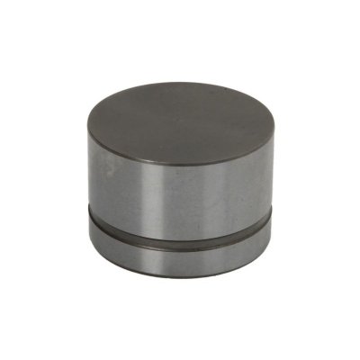 INA Poussoir de soupape  420 0042 10 (X1)
