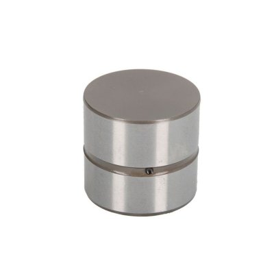 INA Poussoir de soupape  420 0220 10 (X1)
