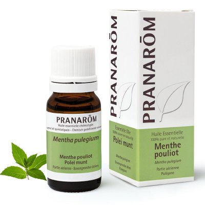 PRANAROM  Huile Essentielle de Pouliot 10 ml 10 ml