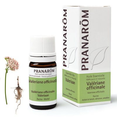 PRANAROM  Huile Essentielle de Val&eacute;riane 5 ml 5 ml