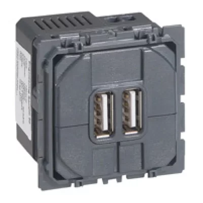 LEGRAND Prise double CELIANE pour chargeur USB