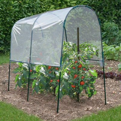 IDMARKET Probache - Serre &agrave; tomates 2 M