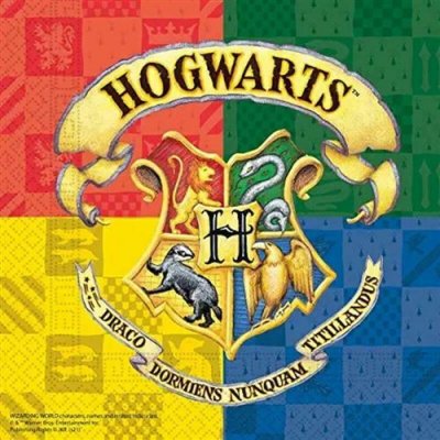 PROCOS  93366 Harry Potter Serviettes en papier 25 x 25 cm FSC&reg; Mix pour anniversaire d'enfant
