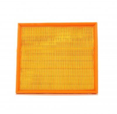 PURFLUX  A1029 filtre &agrave; air moteur