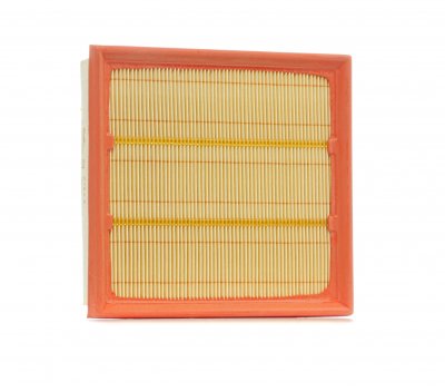 PURFLUX  A1223 filtre &agrave; air moteur
