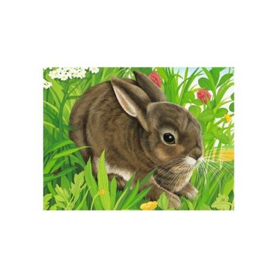 RAVENSBURGER Puzzle 12 cubes  Animaux