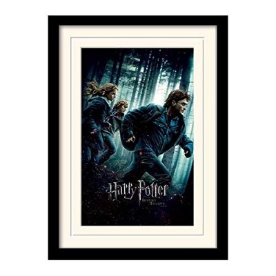 PYRAMID INTERNATIONAL  HARRY POTTER - Mounted & Framed 30X40 Print - D