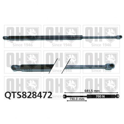 QUINTON HAZELL  V&eacute;rin de coffre RENAULT QTS828472 904520418R