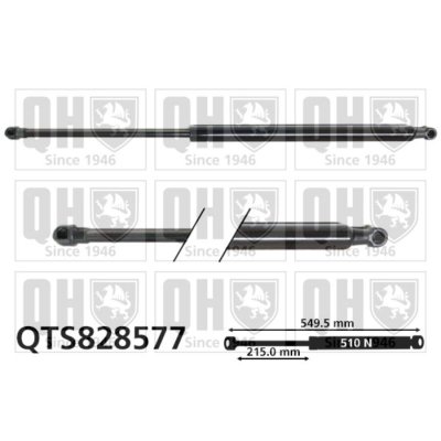 QUINTON HAZELL  V&eacute;rin de coffre RENAULT QTS828577 904502954R,904506721R