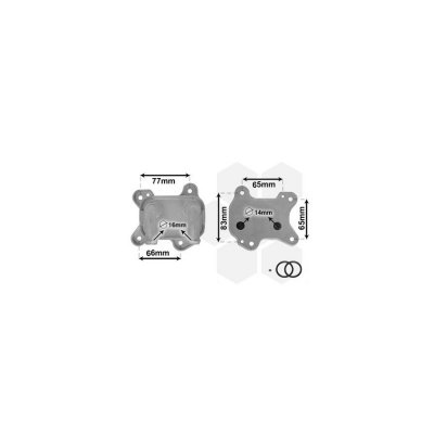 VAN WEZEL Radiateur d'huile moteur  37003581