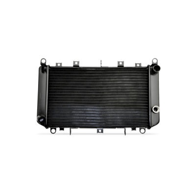 VAN WEZEL Radiateur de refroidissement  17002345 (X1)