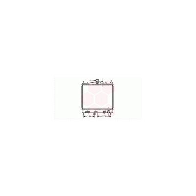 VAN WEZEL Radiateur moteur  13002248