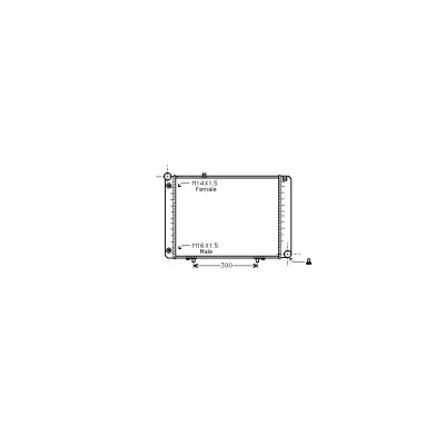 VAN WEZEL Radiateur refroidissement du moteur 30002074 International Radiators 