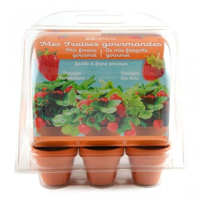 RADIS ET CAPUCINE  - Mini-Serre Pour Fraisiers - Plastique Recycl&eacute;