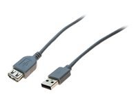 EXC Rallonge USB 2.0 grise - 2,0 m