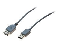 EXC Rallonge USB 2.0 grise - 5,0 m