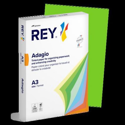 REY Ramette 500 Feuilles Vives 80g A3 - Vert Pomme